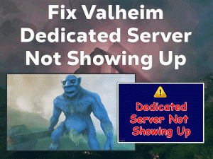 Valheim Dedicated Server Not Showing Up