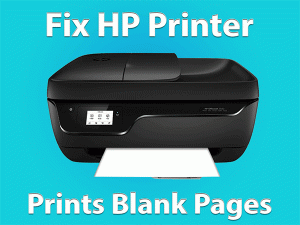 Read more about the article Guide to Fix HP Printer Prints Blank Pages