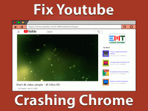 Read more about the article YouTube Crashing Chrome: ERROR FIXED (Easy troubleshooting Guide)