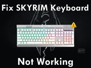 Read more about the article Fix Skyrim Keyboard Not Working