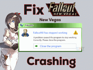 Read more about the article Fix Fallout New Vegas Crashing