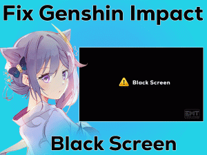 Read more about the article Fix Genshin Impact Black Screen
