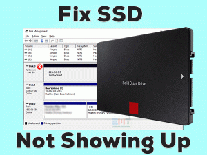 Read more about the article Fix SSD Not Showing Up