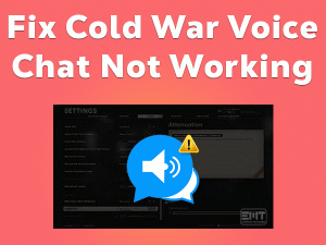Read more about the article Fix Cold War Voice Chat Not Working